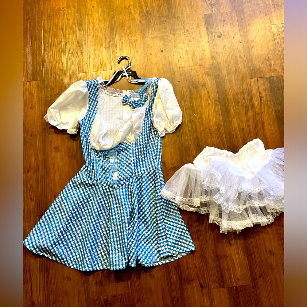 Dorothy Wizard of Oz Halloween Costume size 8-10